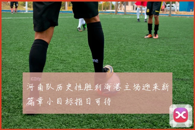 河南队历史性胜利海港主场迎来新篇章小目标指日可待