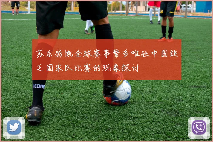 苏东感慨全球赛事繁多唯独中国缺乏国家队比赛的现象探讨