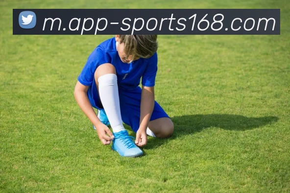 未来规划