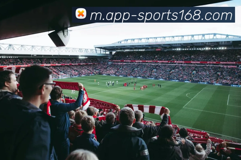 App Interface Preview